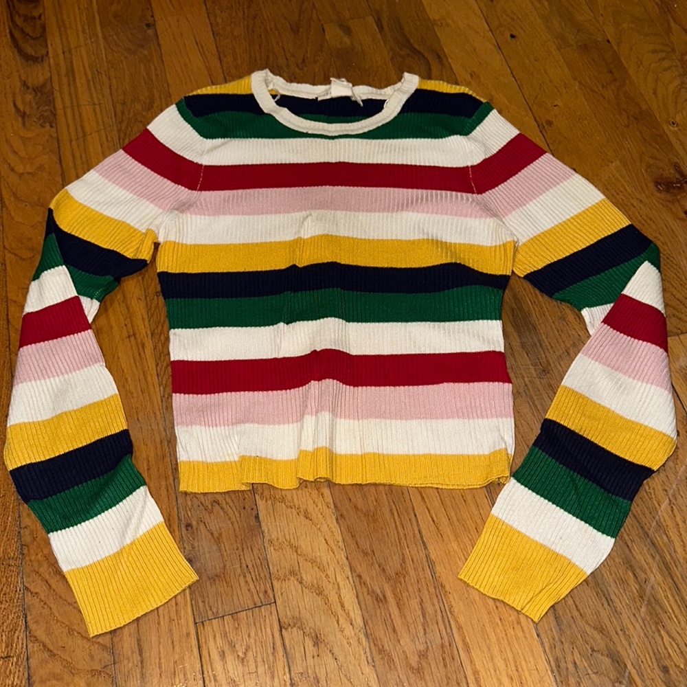 Urban heritage rainbow crop top